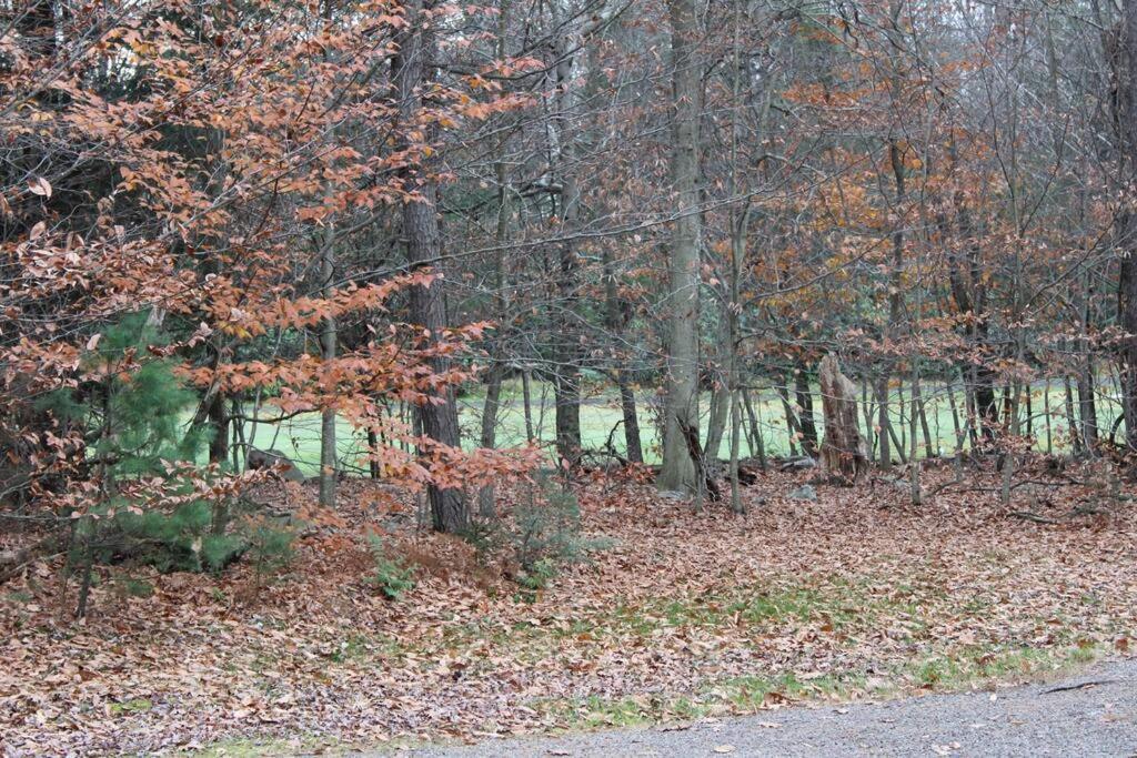 Luxury 4 Bedroom House In Pocono Mountains In Golf Course Near Lake Tobyhanna Εξωτερικό φωτογραφία